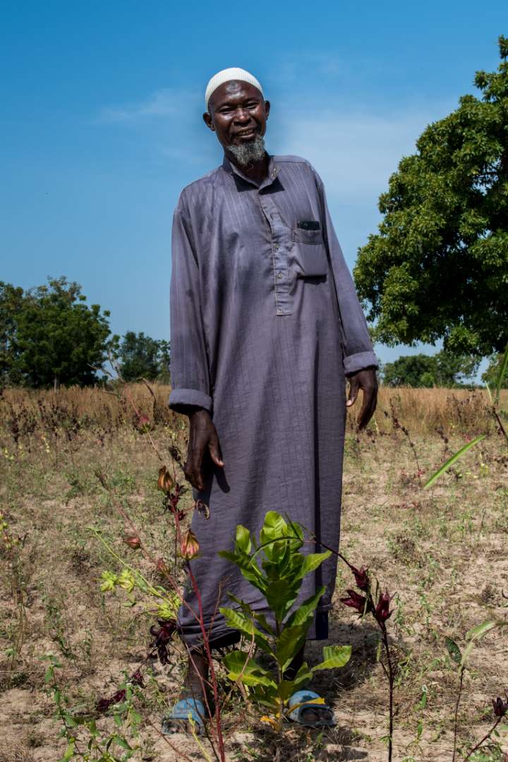 Un Burkinabé devant un arbre nouvellement planté. L'association Le Baobab à Koudougou reboisent sa région pour lutter contre les changements climatiques. Soutenons-les !
