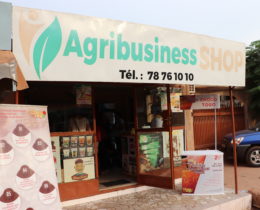Magasin bio au Burkina Faso Agribusiness shop