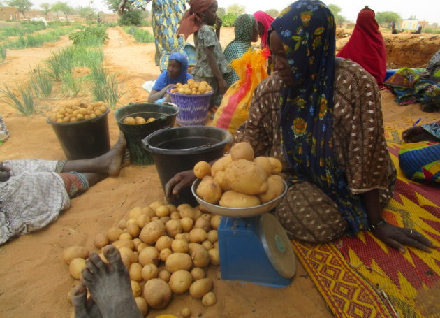 UGM Mali. Femme malienne dans un marché