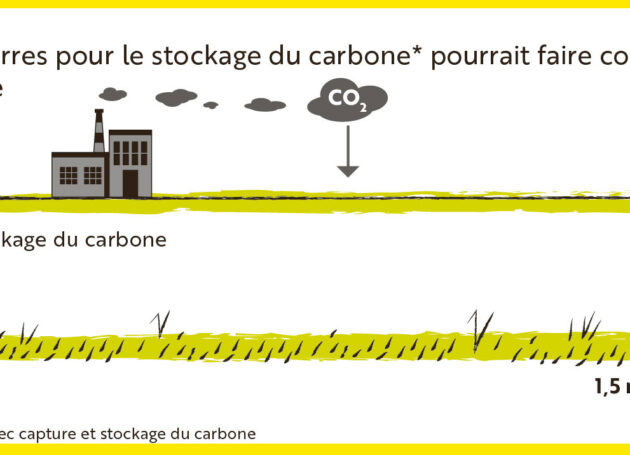 stockage de carbone