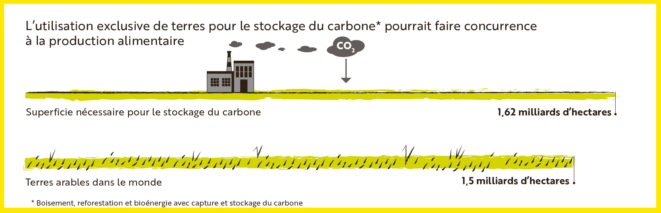 stockage de carbone